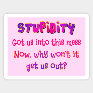 Stupidity got us into this Magnet